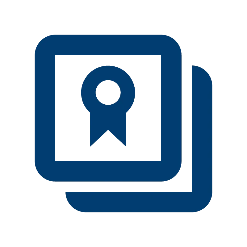 Enterprise-Grade Security