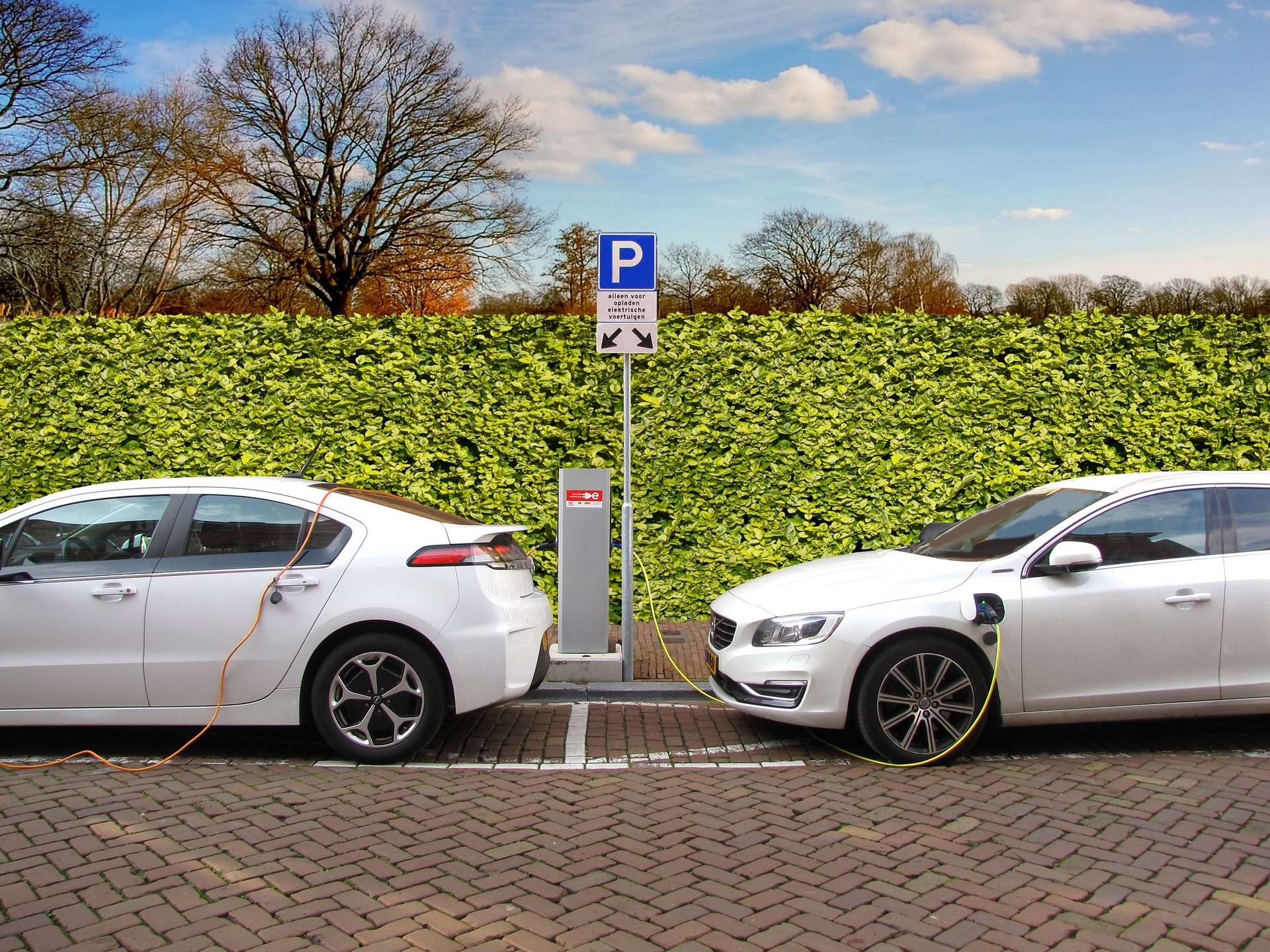 Consider several measures that businesses can adopt to reduce their impact on carbon footprint: Consider several measures that businesses can adopt to reduce their impact on carbon footprint: