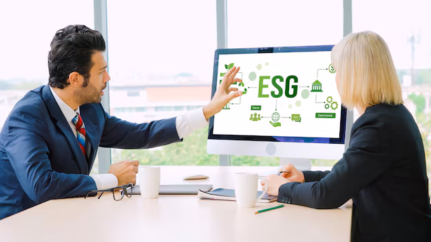 Examples of the ESG Gap Examples of the ESG Gap