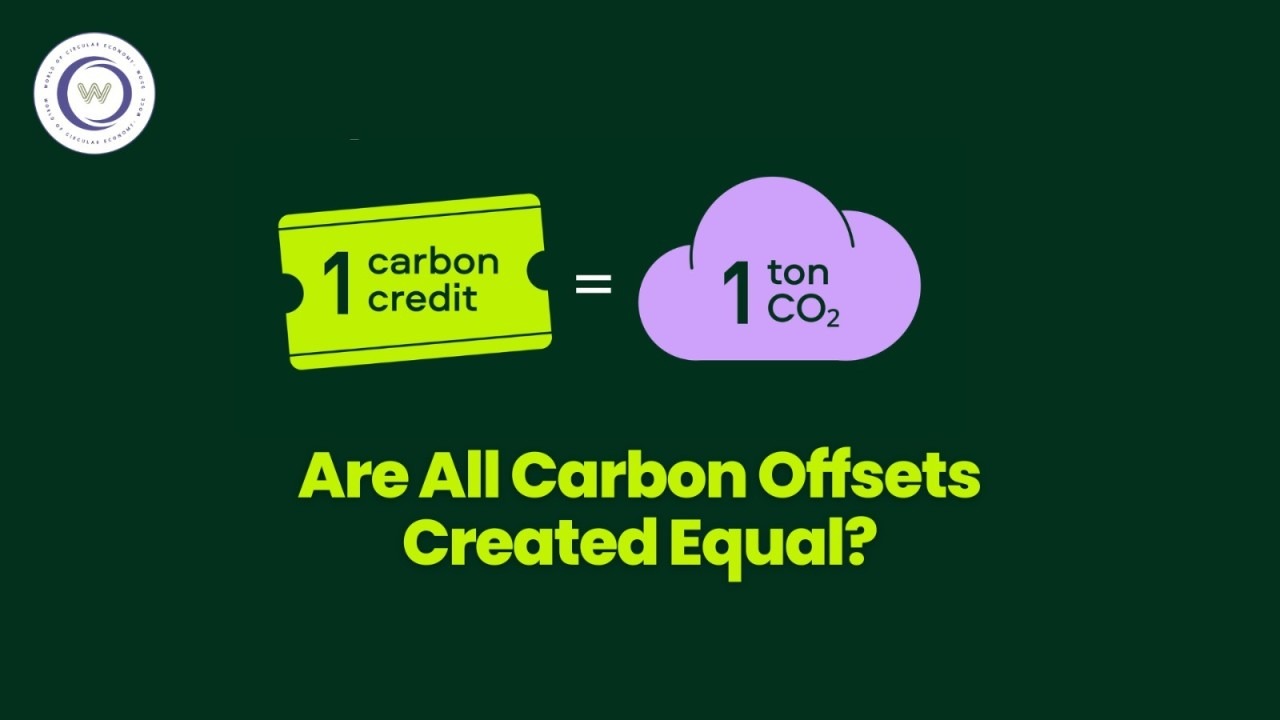 Are All Carbon Offsets Created Equal?