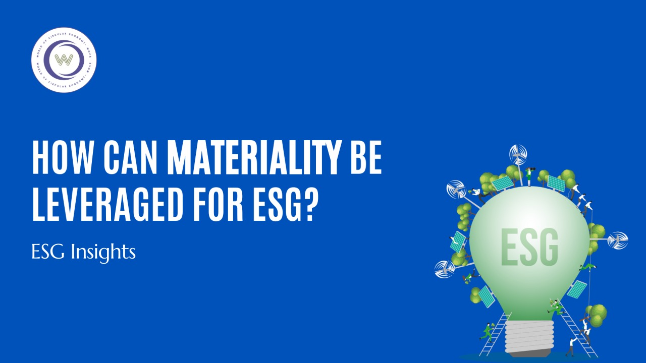 What is Materiality