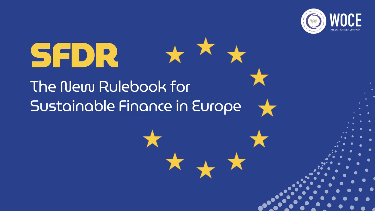 The Sustainable Finance Disclosure Regulation (SFDR)