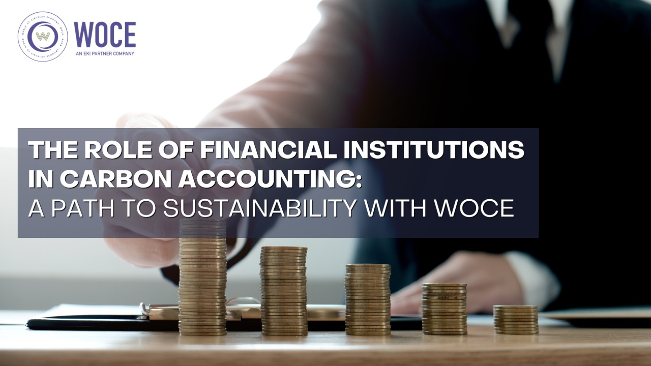 The Role of Financial Institutions in Carbon Accounting