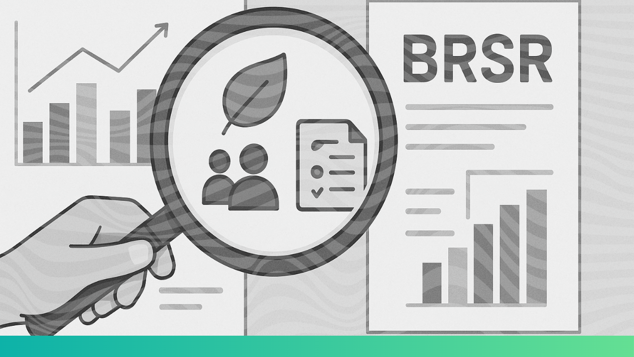 The Standardization of Supplier Screening The Standardization of Supplier Screening