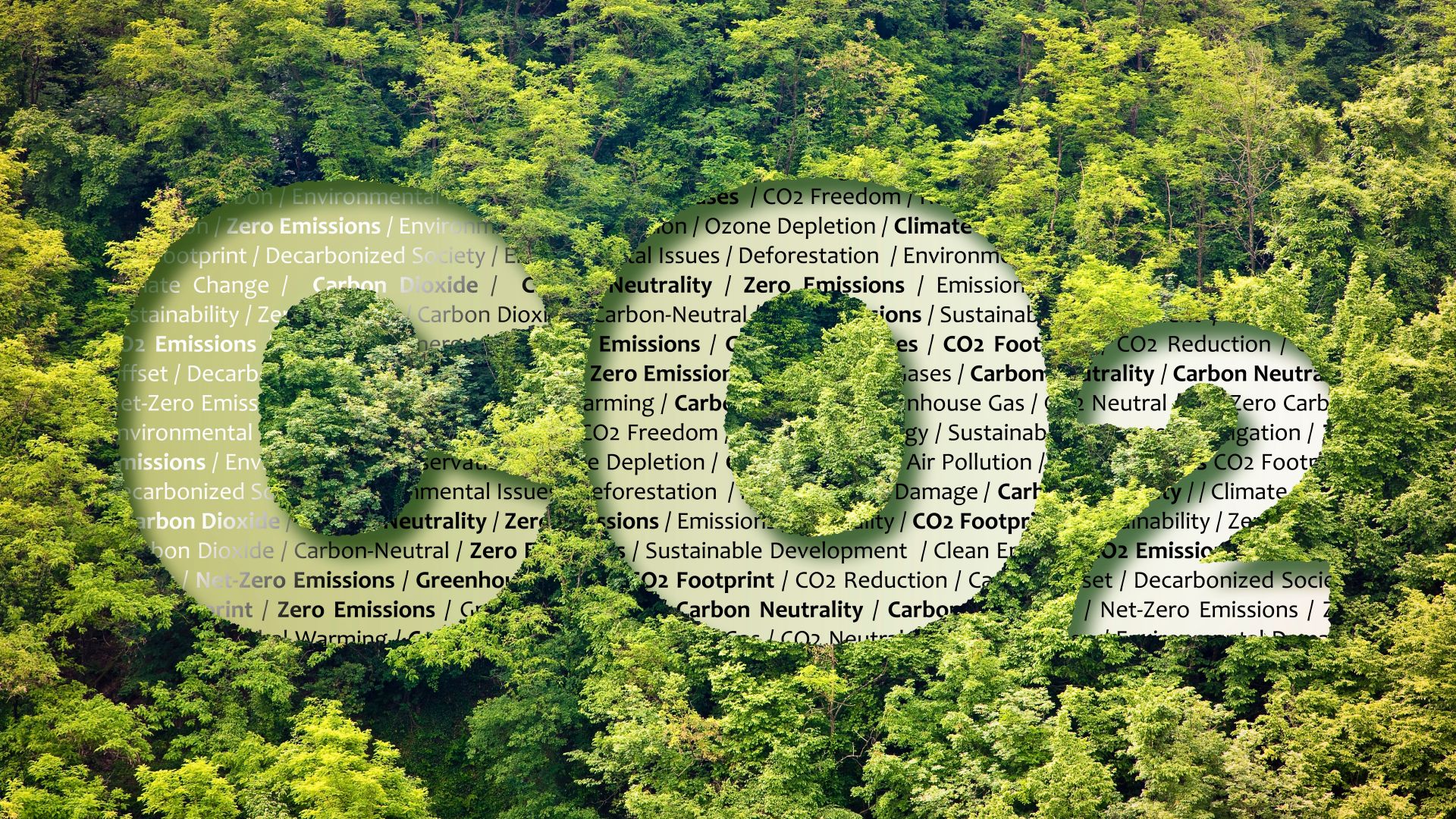 Conclusion and the future of Net Zero Emissions