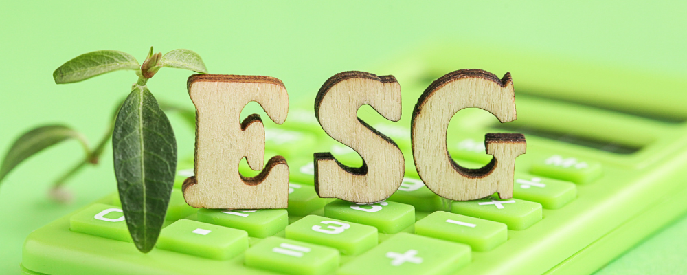 WOCE: Your Partner in ESG Data Excellence