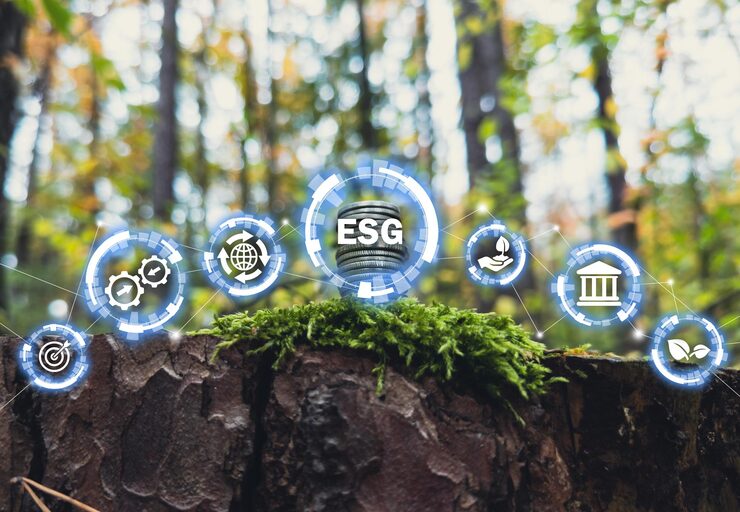 International Sustainability Standards Board (ISSB): The Global Convergence