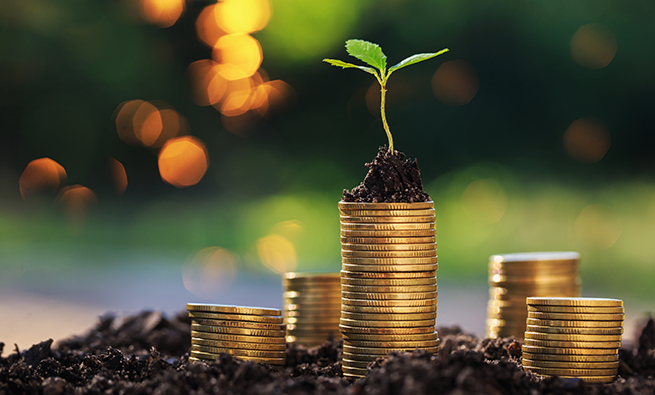 The Importance of Sustainability Reporting