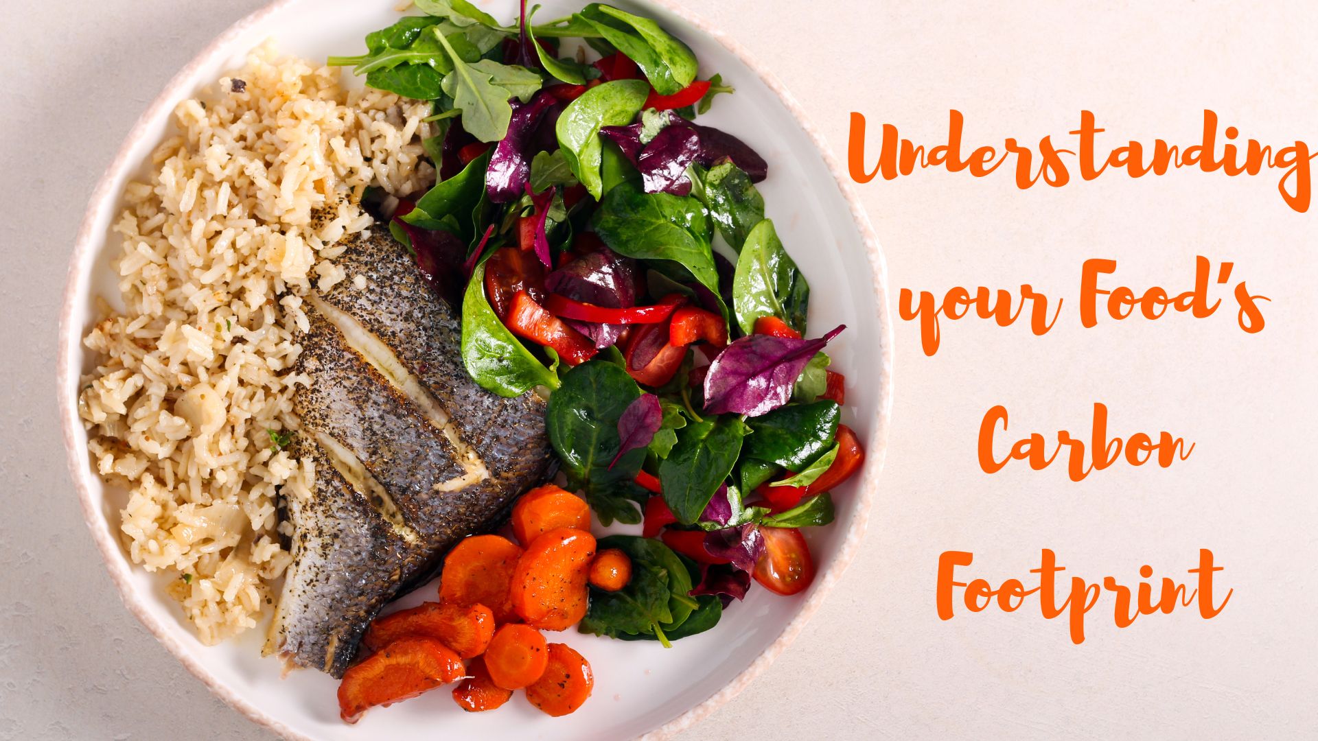 Understanding Your Food's Carbon Footprint: A Guide for Diners