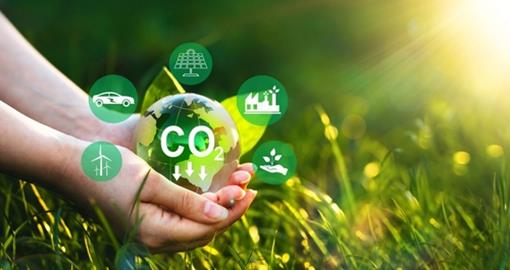 10 Easy Ways to Reduce Your Carbon Footprint