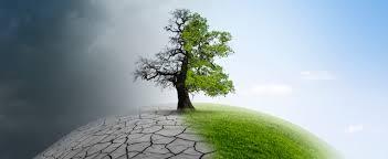 Understanding Net Zero Emissions