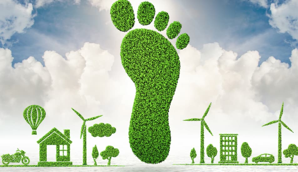 Embracing Sustainability