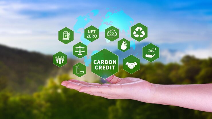 Carbon Credits 101